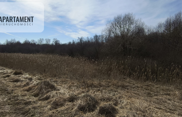 Działka 8000 m² na Kaszubach - Niedamowo