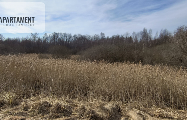 Działka 8000 m² na Kaszubach - Niedamowo