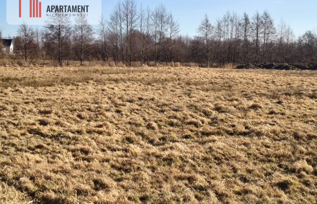 Działki z perspektywą na pełnych uroku terenach