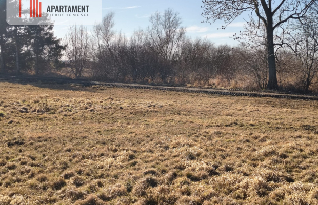 Działki z perspektywą na pełnych uroku terenach