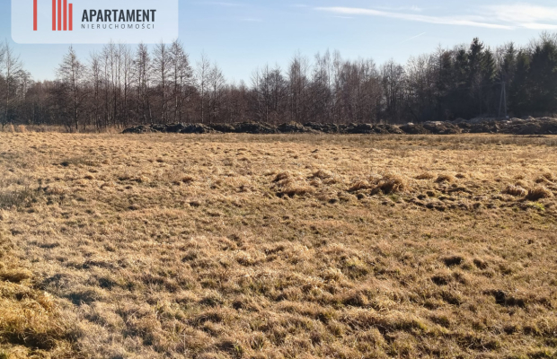 Działki z perspektywą na pełnych uroku terenach