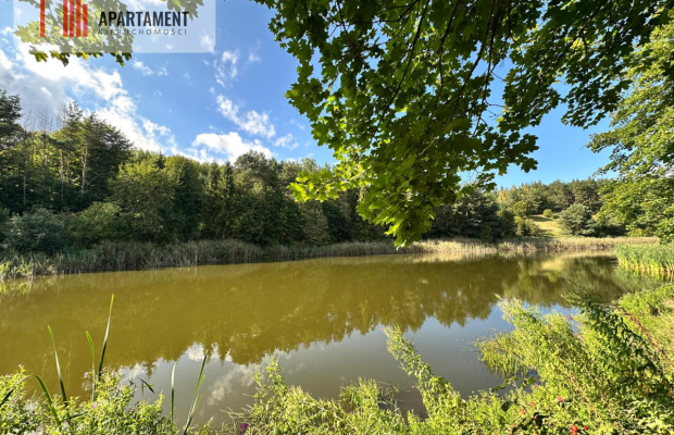 Unikalna działka 3,76 ha z własnym jeziorem!