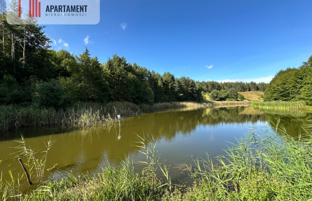 Unikalna działka 3,76 ha z własnym jeziorem!