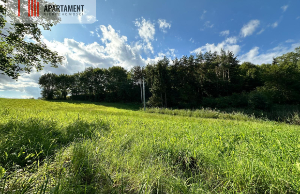 Unikalna działka 3,76 ha z własnym jeziorem!