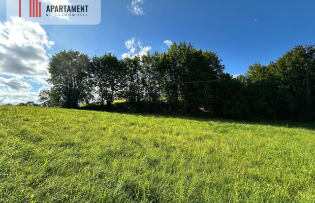 Unikalna działka 3,76 ha z własnym jeziorem!