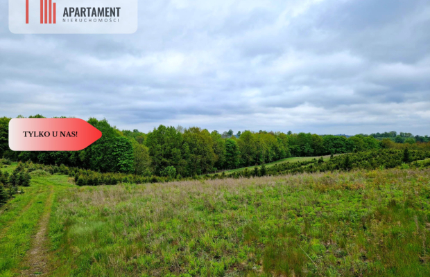 Działki w Miradowie i Bietowie. Promocja