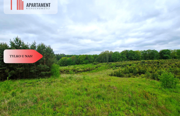 Działki w Miradowie i Bietowie. Promocja