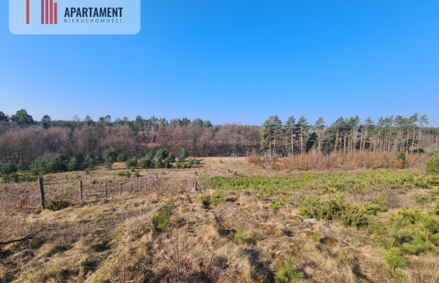 Działka przy brzegu rzeki Brdy!!!