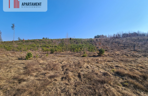 Działka przy brzegu rzeki Brdy!!!