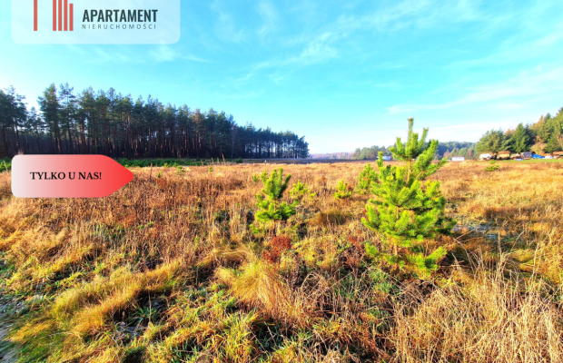 Atrakcyjna działka budowlana na skraju wsi.