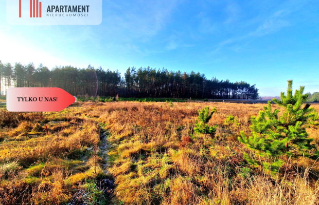 Atrakcyjna działka budowlana na skraju wsi.
