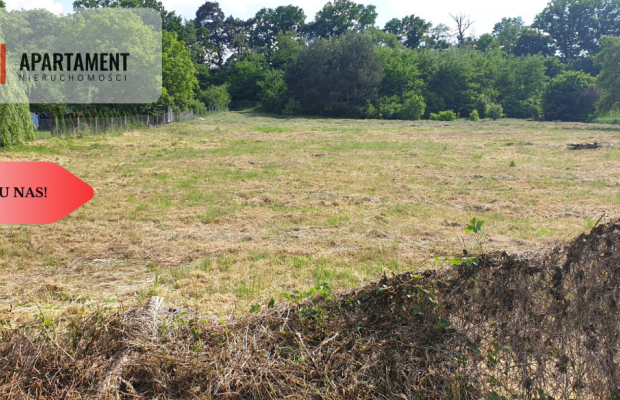 Działka/29 arów/Stęszów