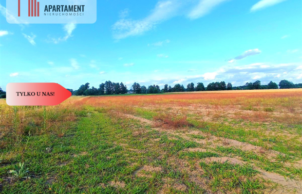 ZŁAWIEŚ MAŁA 1079 m2 IDEALNA LOKALIZACJA