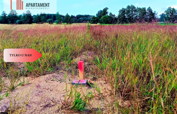 ZŁAWIEŚ MAŁA 1079 m2 IDEALNA LOKALIZACJA