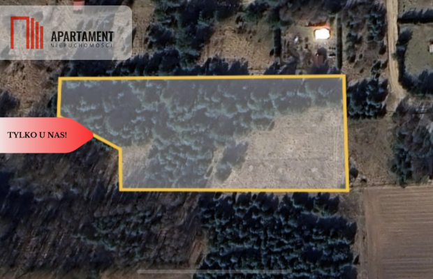 Działki w Osowie Leśnym