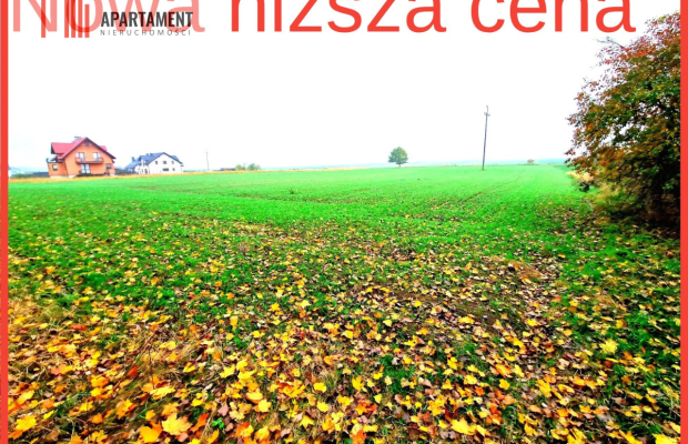Działka z WZ zaledwie 4 km od Człuchowa!