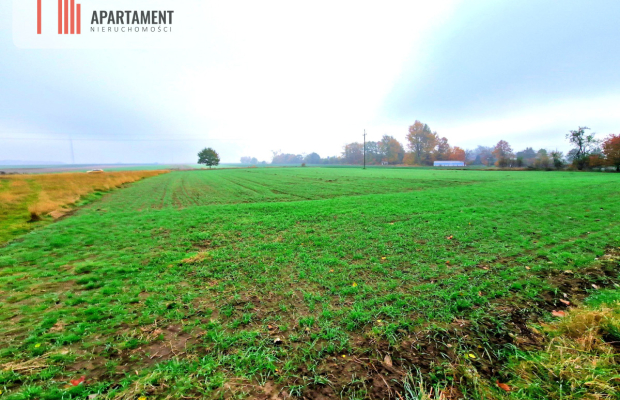 Działka z WZ zaledwie 4 km od Człuchowa!