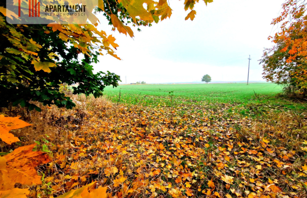 Działka z WZ zaledwie 4 km od Człuchowa!