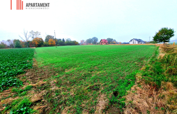 Działka z WZ zaledwie 4 km od Człuchowa!