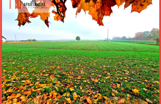 Działka z WZ zaledwie 4 km od Człuchowa!