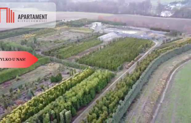 Duża działka 1,73 ha/szkółka drzew iglastych...