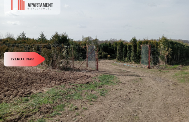 Duża działka 1,73 ha/szkółka drzew iglastych...