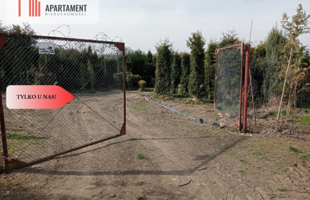 Duża działka 1,73 ha/szkółka drzew iglastych...