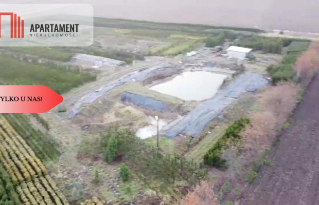 Duża działka 1,73 ha/szkółka drzew iglastych...