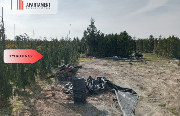 Duża działka 1,73 ha/szkółka drzew iglastych...