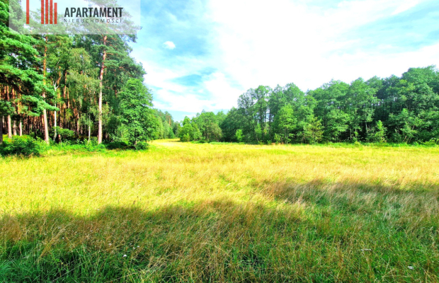 Działka z linią brzegową w Borach Tucholskich