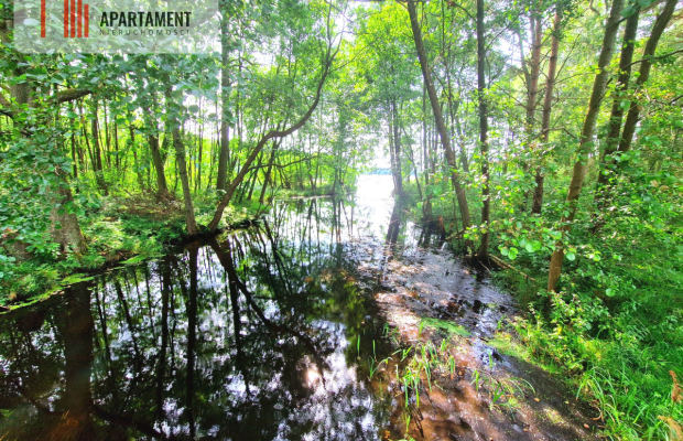 Działka z linią brzegową w Borach Tucholskich