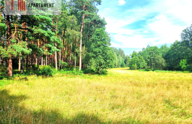 Działka z linią brzegową w Borach Tucholskich