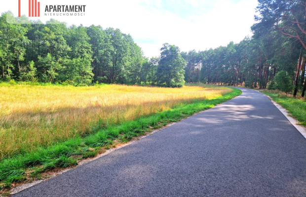Działka z linią brzegową w Borach Tucholskich