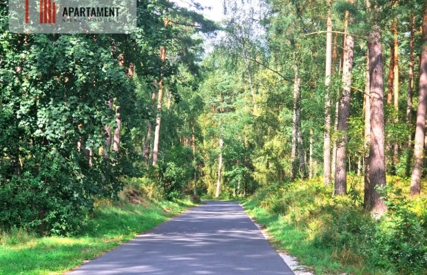Działka z linią brzegową w Borach Tucholskich