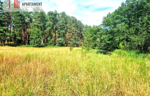 Działka z linią brzegową w Borach Tucholskich