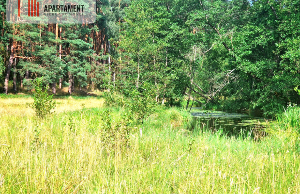 Działka z linią brzegową w Borach Tucholskich