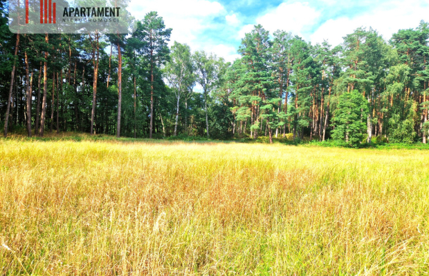 Działka z linią brzegową w Borach Tucholskich