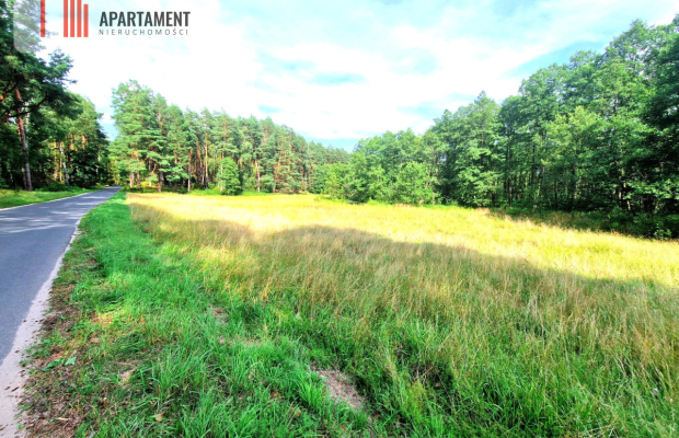 Działka z linią brzegową w Borach Tucholskich
