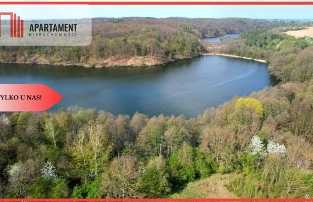 działka rekreacyjna Tryszczyn, lasy, jezioro