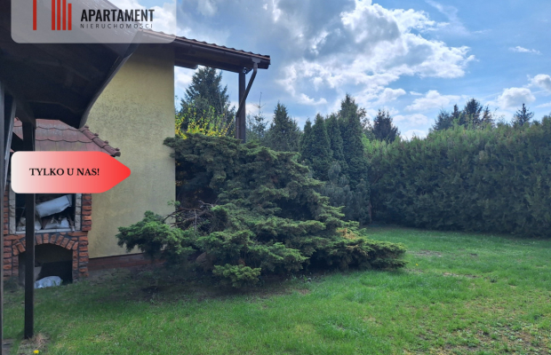 działka rekreacyjna Tryszczyn, lasy, jezioro