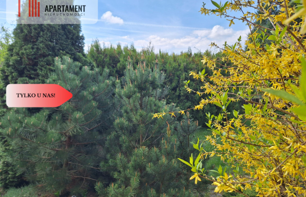 działka rekreacyjna Tryszczyn, lasy, jezioro