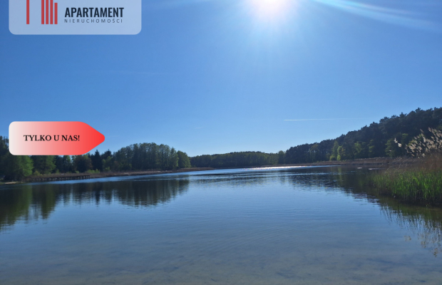 działka rekreacyjna Tryszczyn, lasy, jezioro