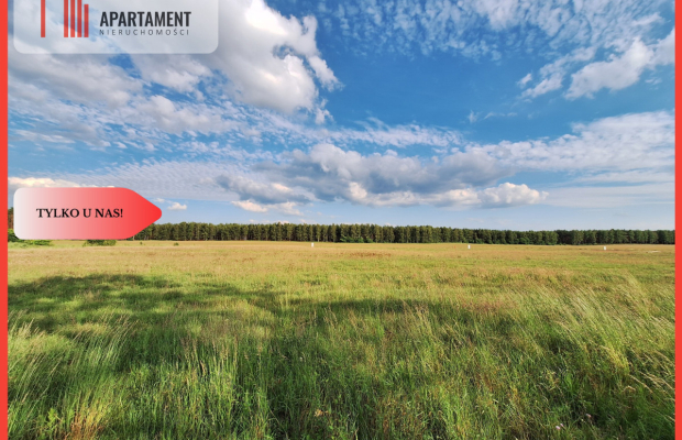Działka budowlana w okazyjnej cenie! Blisko Piły.