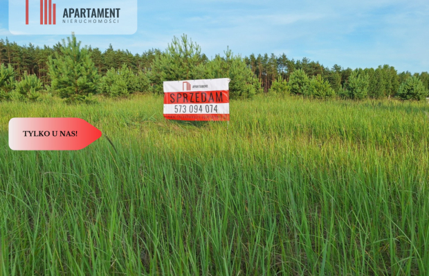 Działka budowlana w okazyjnej cenie! Blisko Piły.