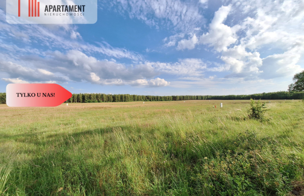 Działka budowlana w okazyjnej cenie! Blisko Piły.