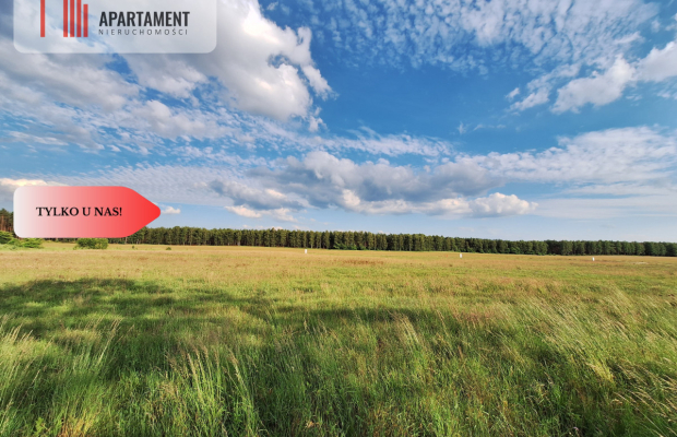 Działka budowlana w okazyjnej cenie! Blisko Piły.