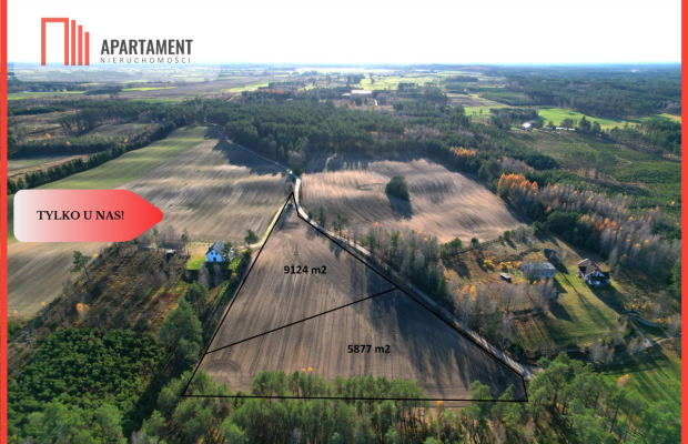 Tylko u Nas! Działka budowlana w otoczeniu lasów!