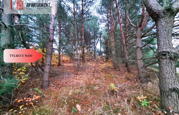 Tylko u nas!!Działka w okolicy lasów i jezior!!!