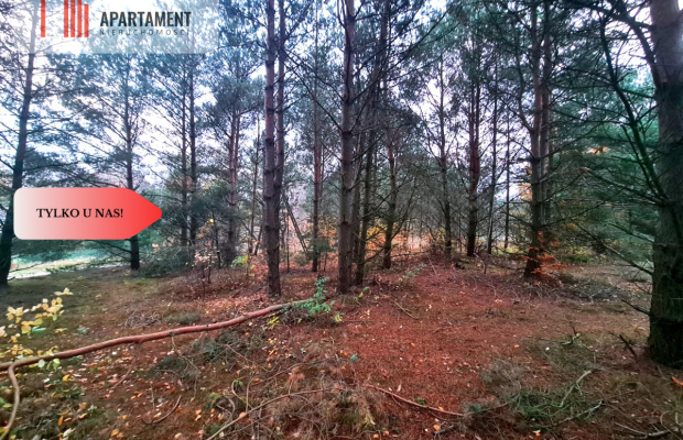 Tylko u nas!!Działka w okolicy lasów i jezior!!!