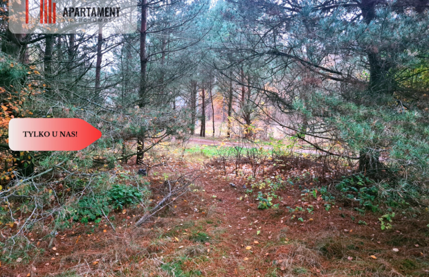 Tylko u nas!!Działka w okolicy lasów i jezior!!!